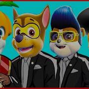 Paw Patrol Coffin Dance Song Cover Tun