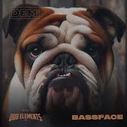 Dub Elements Bassface