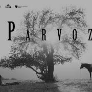 Parvoz