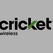 Cricket Late 2010S On