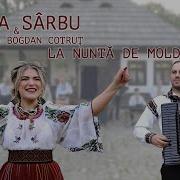 Diana Sarbu Tinerel Mam Insurat