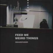 Squarepusher Hard Full Album
