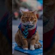 Оо Да Ну В Таком Костюме