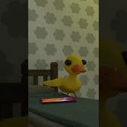 San Meme