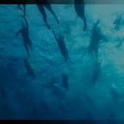 Ironman World Championship