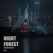 Muvi Night Forest