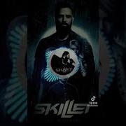 Ukraina Skillet Monster