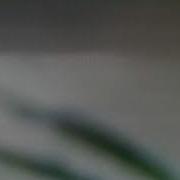 А Я Девчонка Современная Танцую И Пою Для Вас
