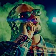 Snoop Dogg Ice Cube The Game 911 Music Video 2024