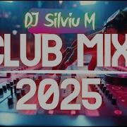 New Year Party Mix 2024