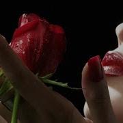Korg S Обожаю Авторская Композиция Relax Music