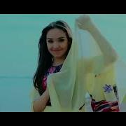 Chinni Gullar Toyda