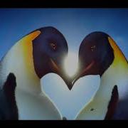 Happy Feet Intro