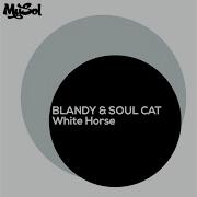 White Horse Blandy Soul Cat