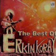 Erkin Koray Şaşkın