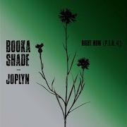 Right Now P I N 4 P I N 4 Booka Shade Joplyn