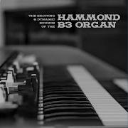 Rudi Johnson Trio This Is It