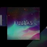 The Northern Saga Luwaks