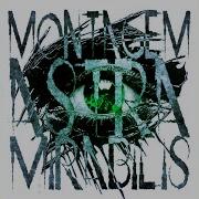 Montagem Astra Miralbis