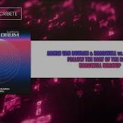 Hardwell Follow The Beat Of The Drum