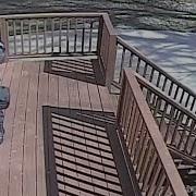 Neighbors Fuck Sound
