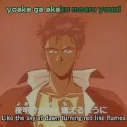 The Brave Fighter Of Sun Fighbird Op