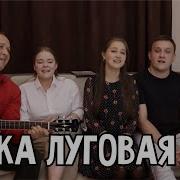 Ночка Луговая Пташица