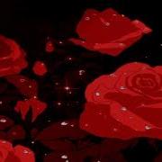 Girls Need Love Slowed Reverb