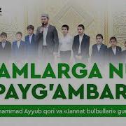 Olamlarga Nur Paygambar