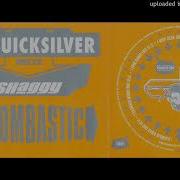 Dj Quicksilver Meets Shaggy Boombastic Catwalk Mix