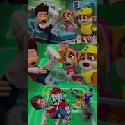 Coffin Dance Paw Patrol