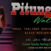 Dj Tarling Dangdut Pitung Wulan