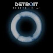 Run With Me Detroit