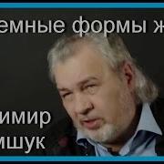 Внеземные Формы Жизни Шемшук