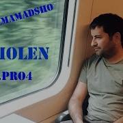 О Шамолен