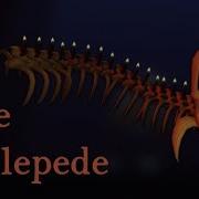 Pressure Skelepede Ost