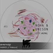 Noha Unison Nevernap