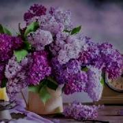 Серге Чекалин Сирень