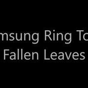 Fallen Leaves Samsung