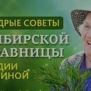 Травницы Лидии Суриной
