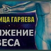 Матрица Гаряева Софт Радио Исцеление Мочеполовой Системы