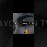 Кайгули Кушиклар