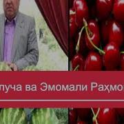 Манучехри Кухистони