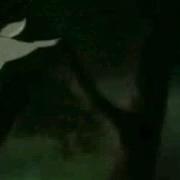 Shut Me Up Ginga Amv