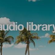 Nightfall Roa No Copyright Music
