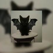 Beabadoobee Glue Sped Up