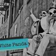 Ice Cream Woman White Panda