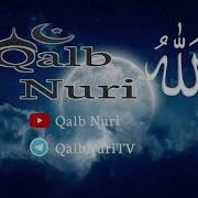 Qalb Nuri 1