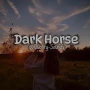 Dark Horse Speed Up Reverb