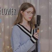 Snow Flower V Cover